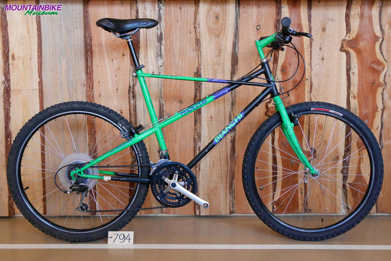 Bianchi Pholcus | 794