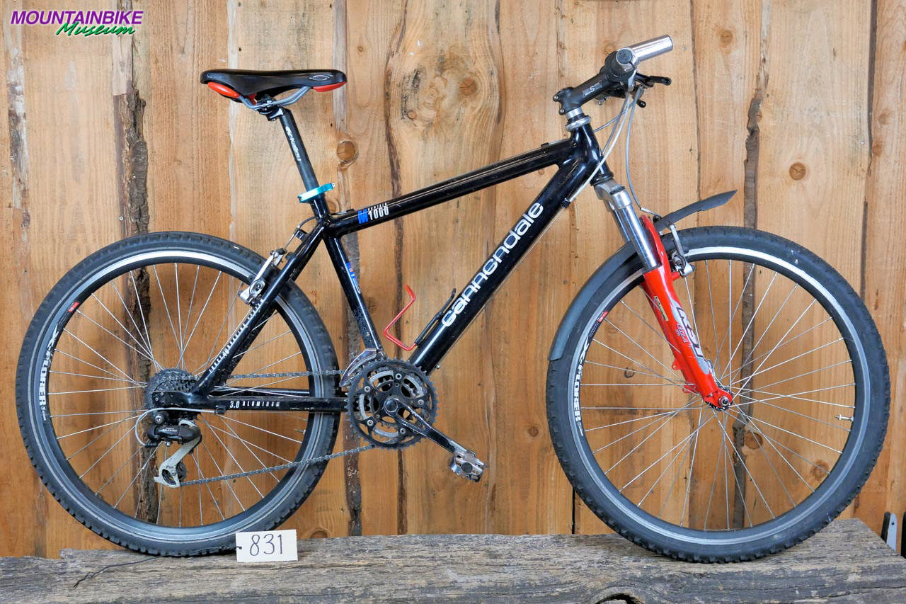 Cannondale M 1000 | 831